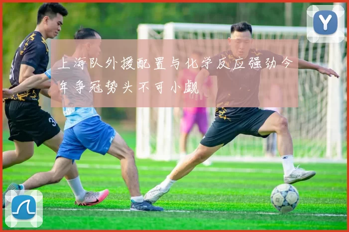 上海队外援配置与化学反应强劲今年争冠势头不可小觑